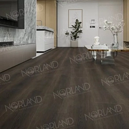 SPC PRO ламинат Norland NEOWOOD 4V AC5 кл 2001-2 Tanaelva