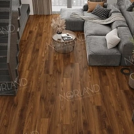 Ламинат Norland Elegant LF301-19 Орех Кипр